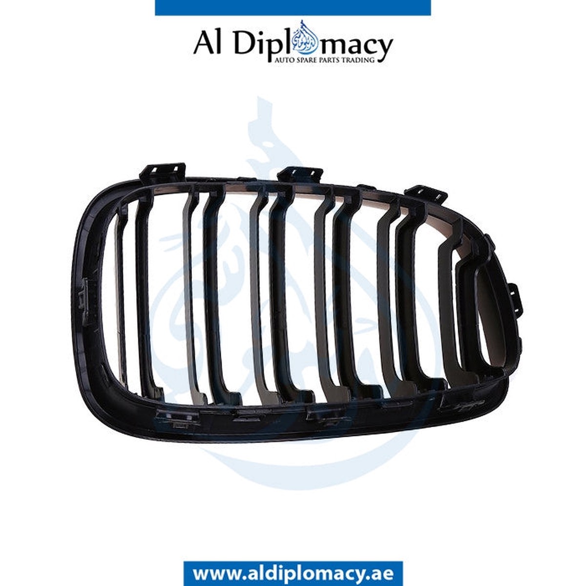 BMW 1 SERIES F20 SHOW GRILLE, CHROME & BLACK, LEFT - TAIWAN 51137262117