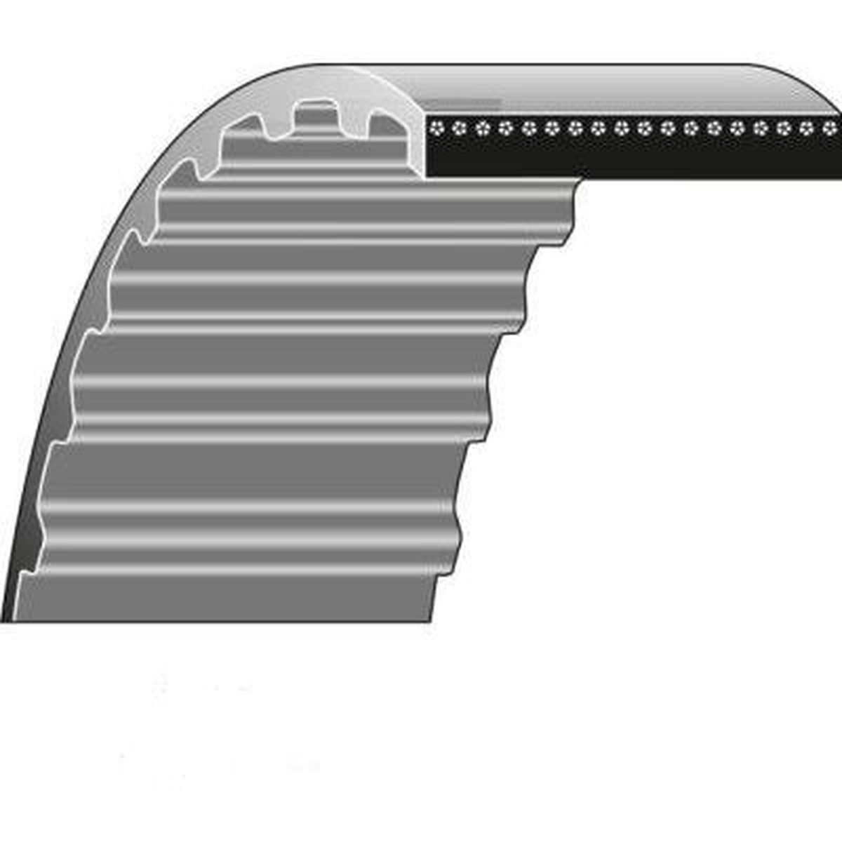 Cog Belt 160 Teeth #9585009501
