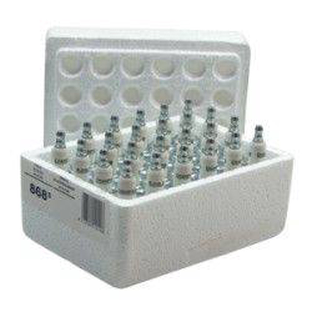 Champion Rc12Yc Spark Plug Workshop Pack