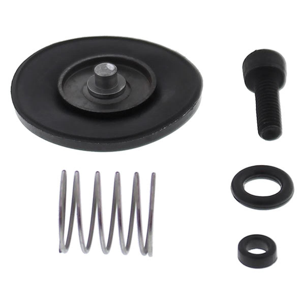 All Balls Racing - Accelerator Pump Rebuild Kit (46-3006)